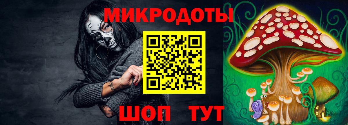 Алатырь  Псилоцибиновые грибы прущие грибы  магазин  наркотиков  Вход с VPN  Галлюциногенные грибы Psilocybine cubensis 